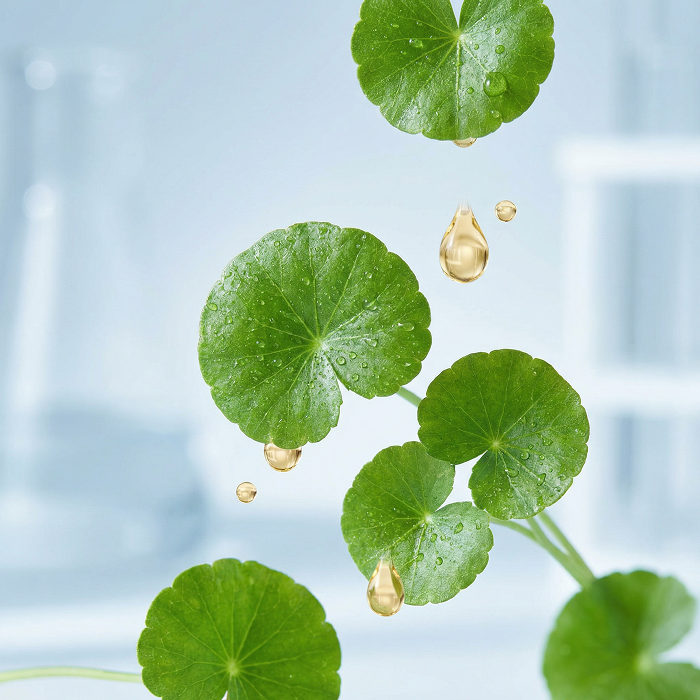 Centella Asiatica + Ceramide